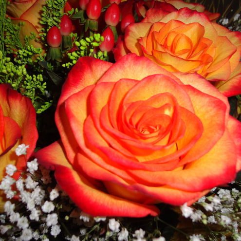 Ирина Прощенко