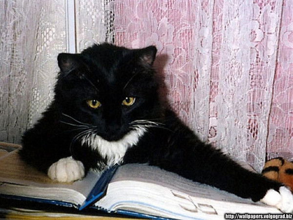 Максим Криворучко