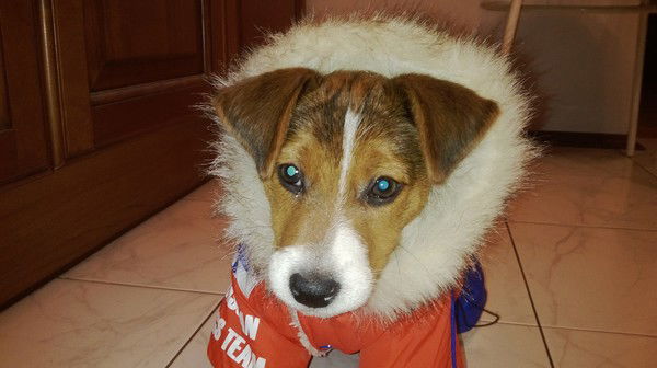 Людмила Головина (Горина