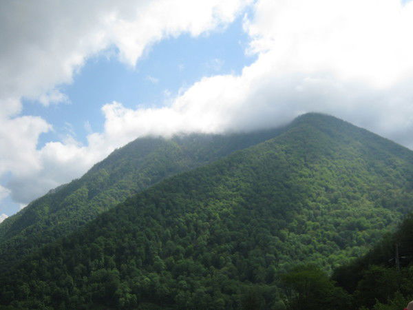 Елена Кашеварова