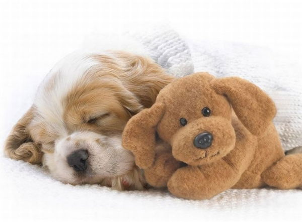 Мадина Конакбаева