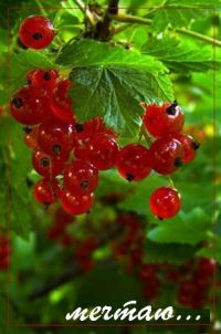 Жанна Маркаич