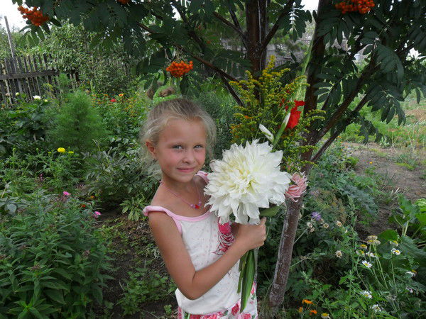 Настя Богданова