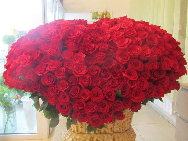 Тая Петрова