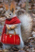 Vero4Kа Новоселова