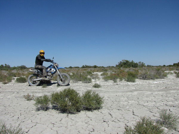 Александр Светов