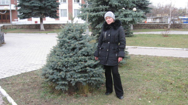 Елена Ташкинова