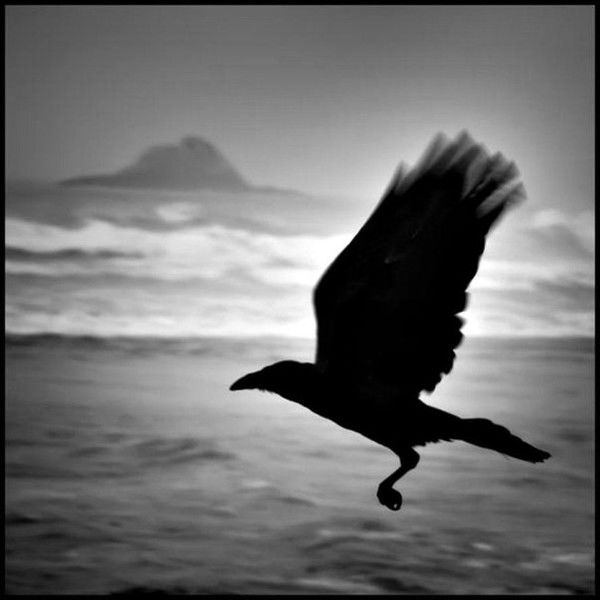 Евгений Бубырь