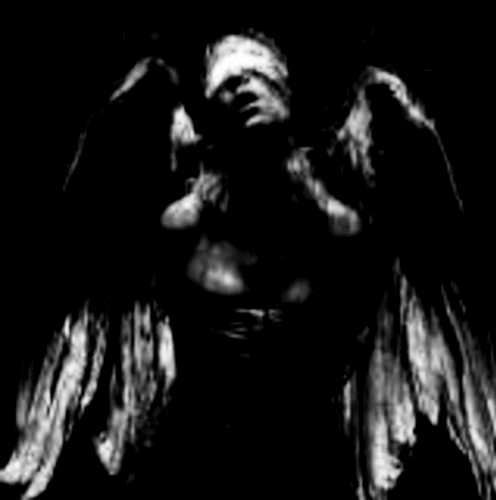 Александр Колотуша