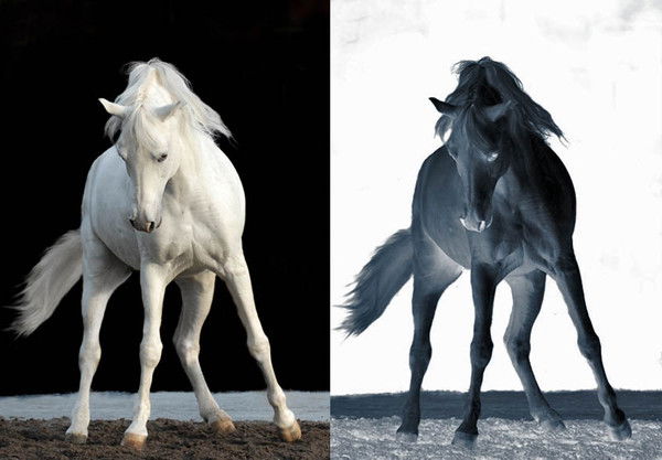 Евгения Емченко