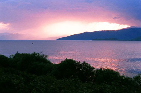 Жанна Желдыбаева