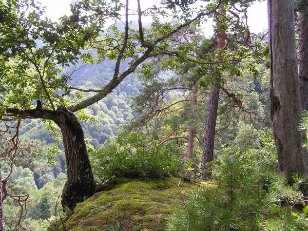 Ирина Жилина