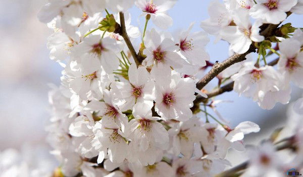 Гульсум Кенжетаева