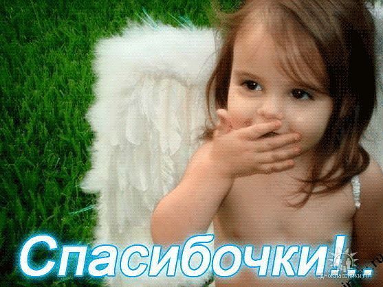 Наталья Липкевич