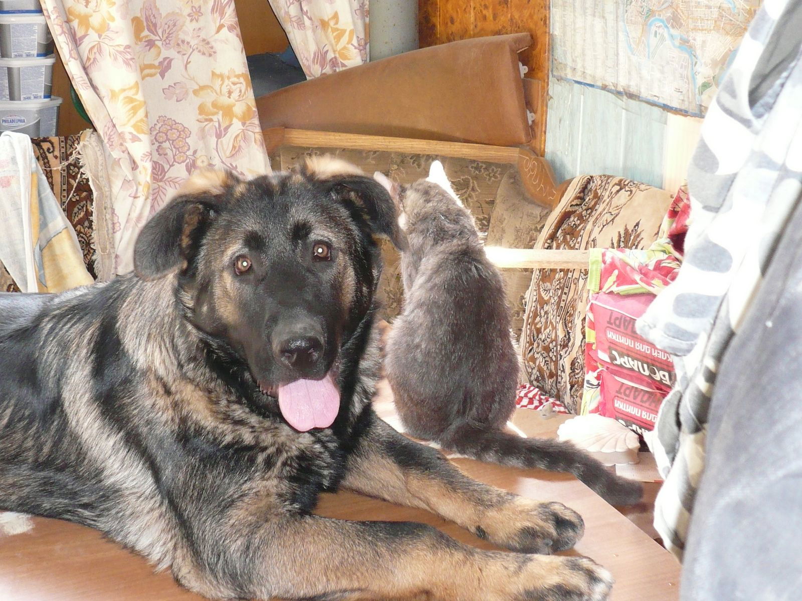 Владимир Залесный