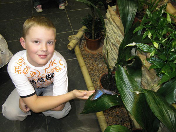 Илья Шестаков