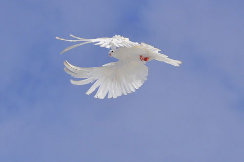 Людмила Гончарова