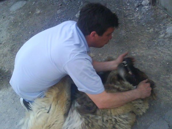 Сергей Риттер