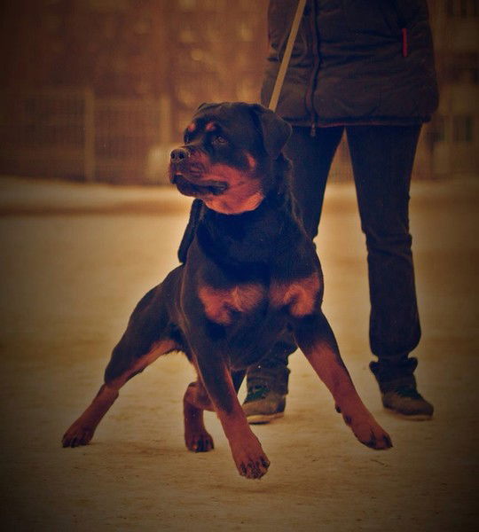 Виктория Путилина