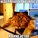 K1Ngsman 001 )))