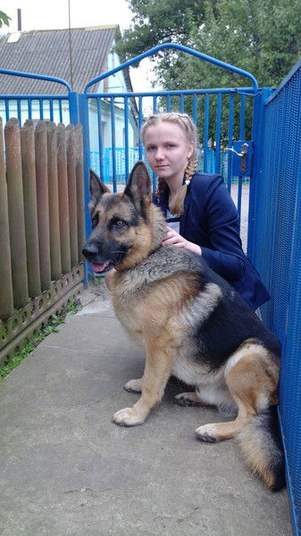 Галя Ковчик