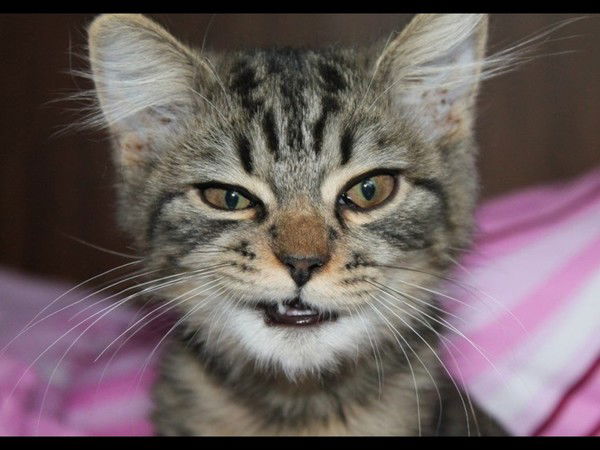 Иван Леонов