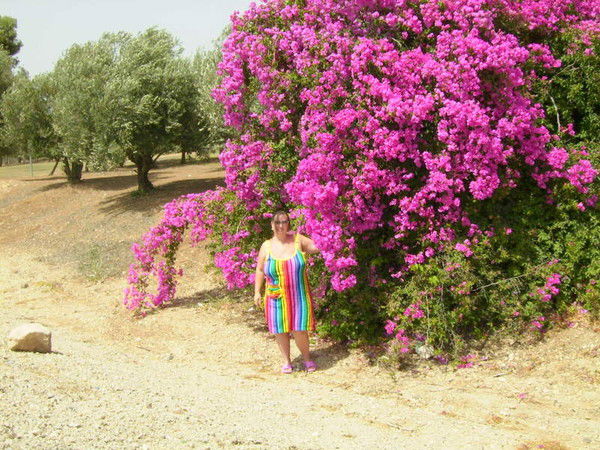 Алла Залманович