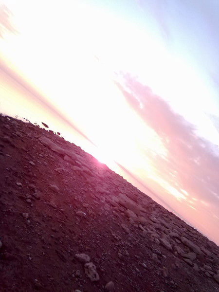 Регина Шамсонова