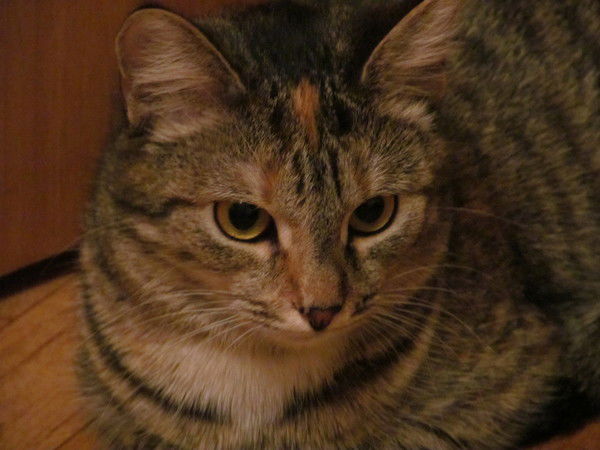 Венера Юзеева