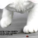 Света Метелёва