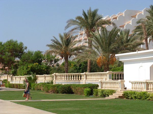 Толик Кузнецов