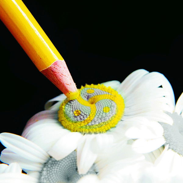 Инквизитор Испытатель™®©