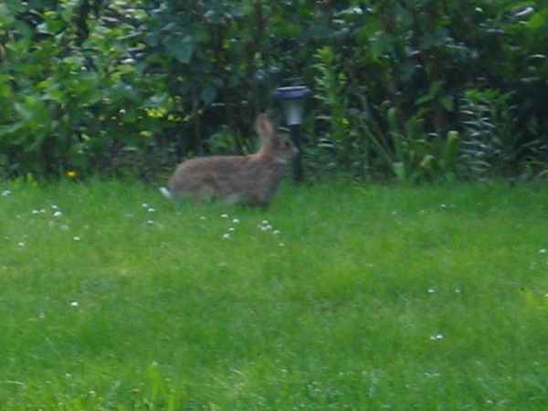 Юрий Фоминский