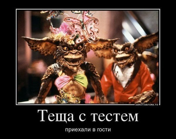 Саловат Низаметдинов