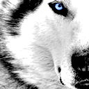 Rus _______