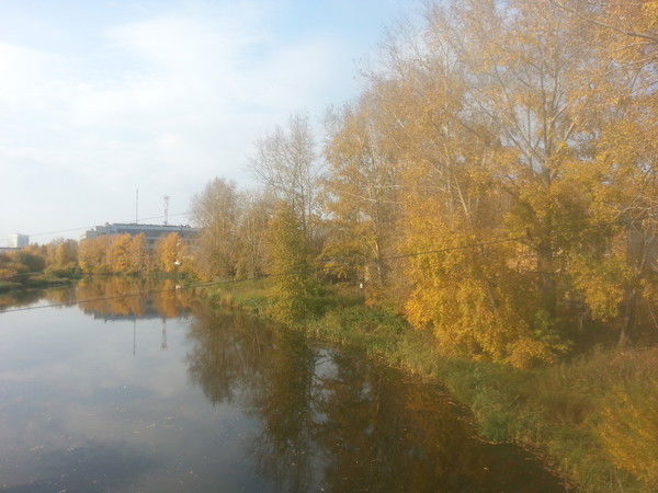 Юрий Солодников