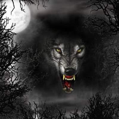 Александр Турчанинов