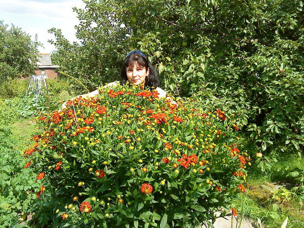 Ирина Гузикова