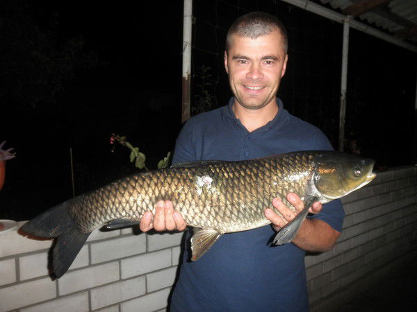 Дмитрий Коломинов