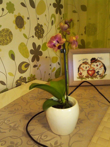 Александра К