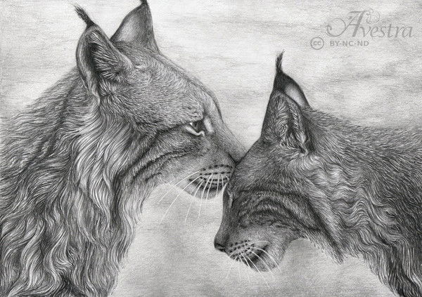 Cерая Стрела {Game Over}