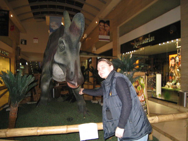 Наталья Сорокина