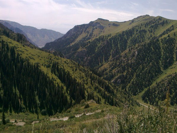 Алмаз Ажыманбетов