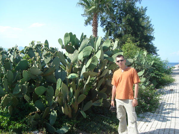 Алекс Ткачев