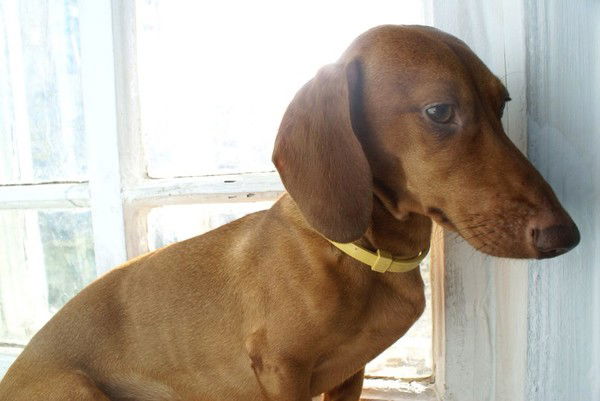 Наталья Ярошенко