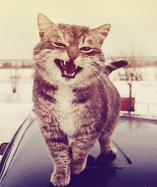 Кристинка :*