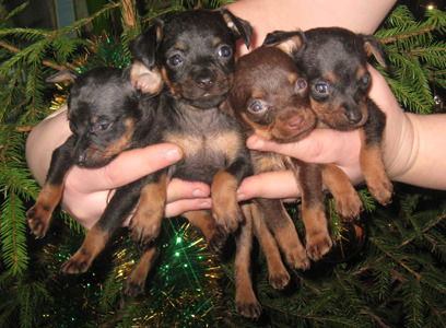 Галина Варфоломеева