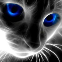 Павел Акбаев-Махмуд