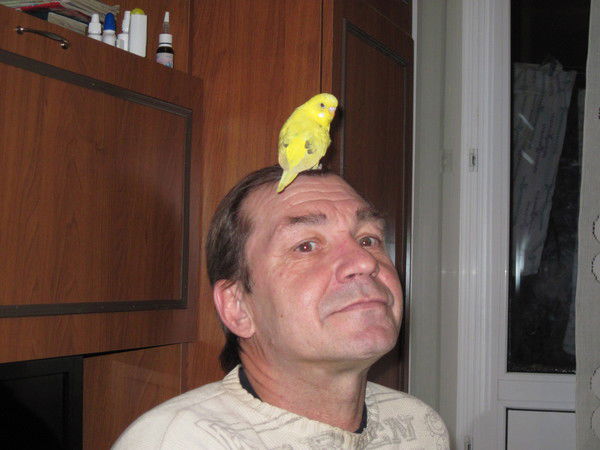 Сергей Коробкин