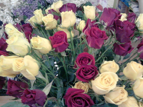 Альбина Галимова